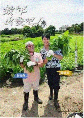中国好声音 综艺